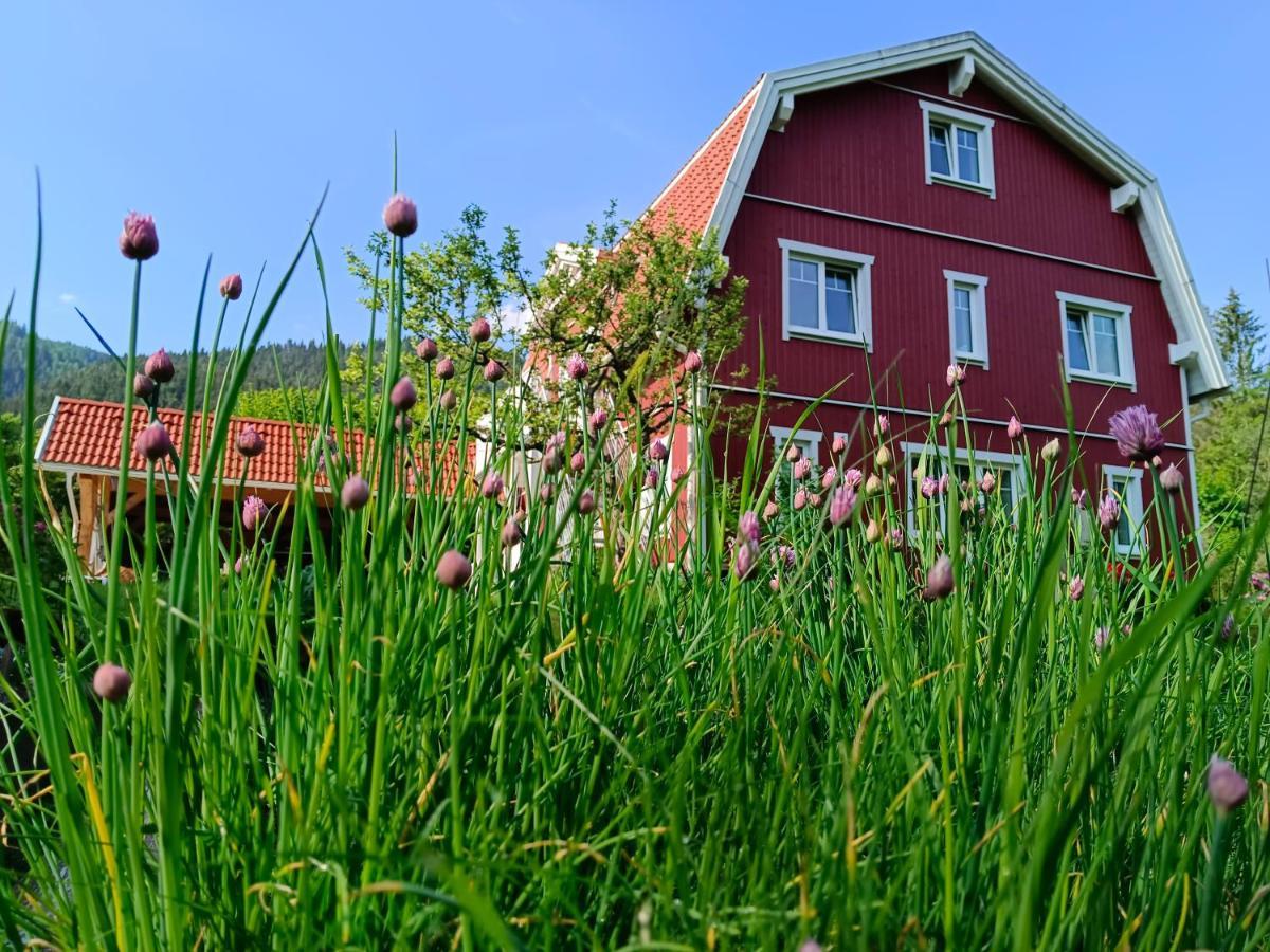 Haus Gruenfels Apartment Murau Zewnętrze zdjęcie