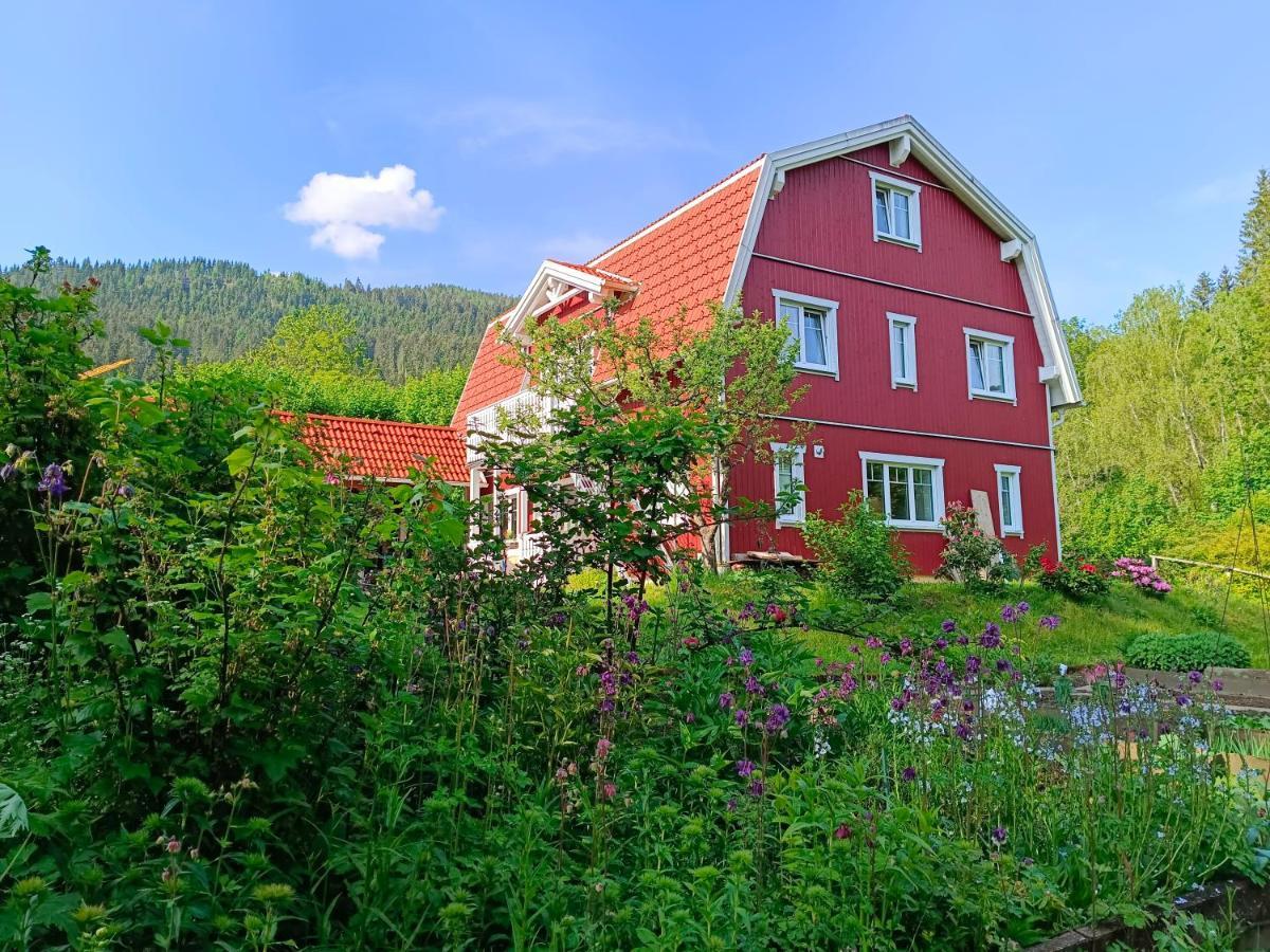 Haus Gruenfels Apartment Murau Zewnętrze zdjęcie