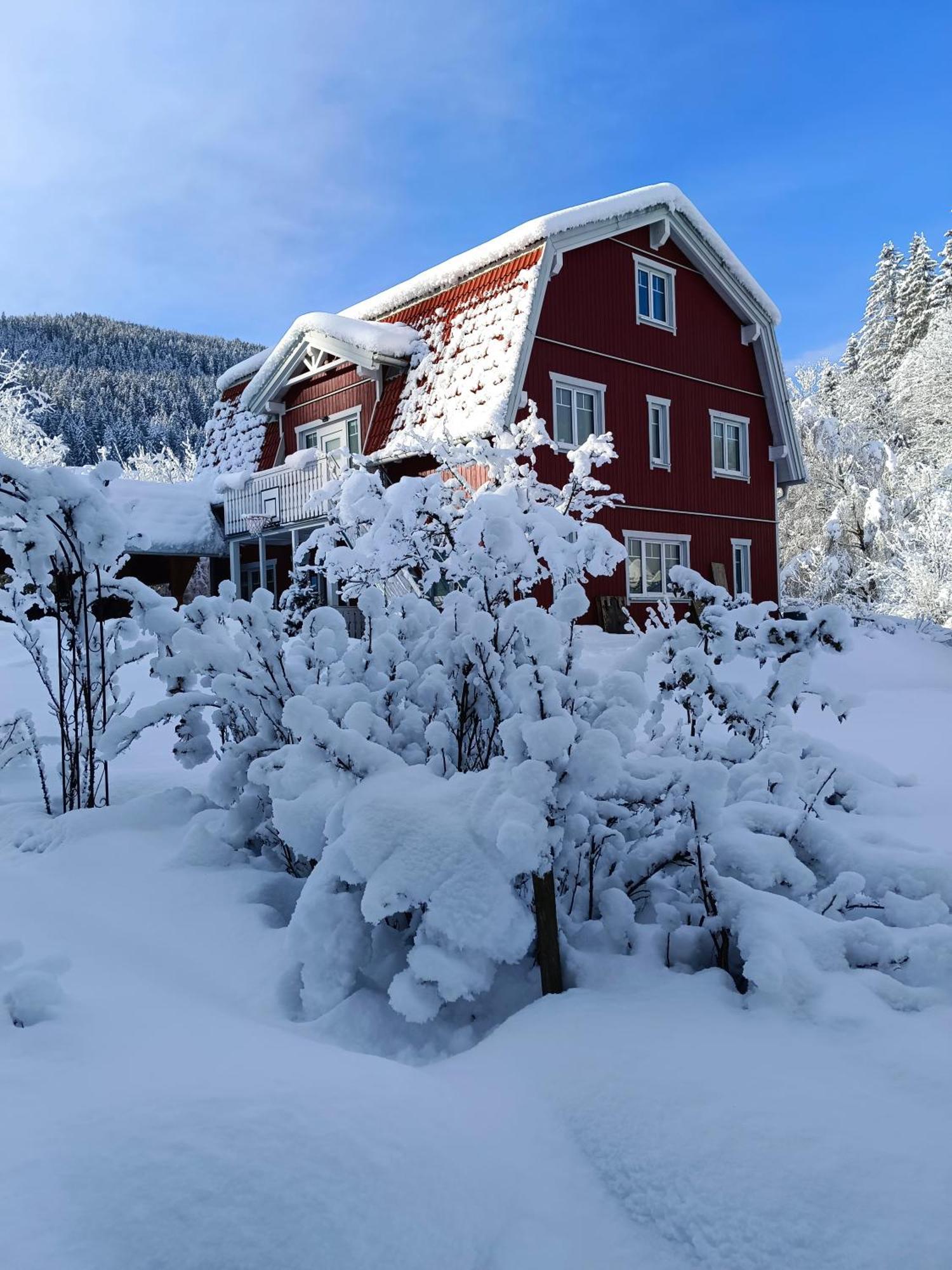 Haus Gruenfels Apartment Murau Zewnętrze zdjęcie